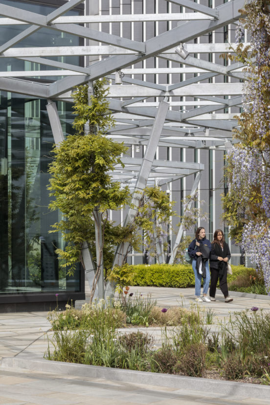 Fen Court Roof Garden